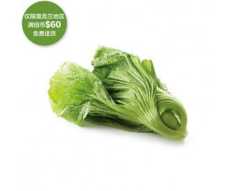 【疫情蔬果专区】大芥菜 1颗【请单独下单,不要和其它专区商品混搭】 【疫情蔬果专区】大芥菜 1颗【请单独下单,不要和其它专区商品混搭】